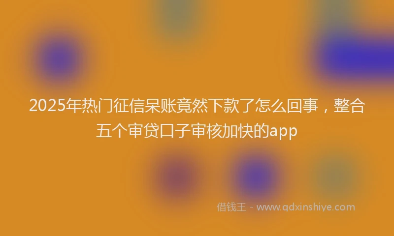 2025年热门征信呆账竟然下款了怎么回事，整合五个审贷口子审核加快的app