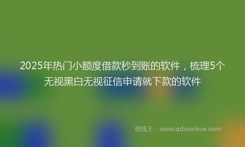 2025年热门小额度借款秒到账的软件，梳理5个无视黑白无视征信申请就下款的软件