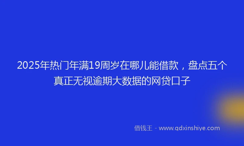 2025年热门年满19周岁在哪儿能借款，盘点五个真正无视逾期大数据的网贷口子