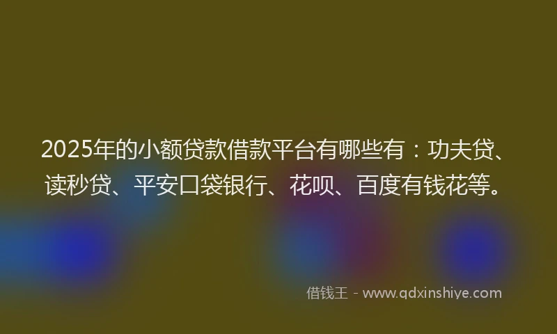 2025年的小额贷款借款平台有哪些有:功夫贷、读秒贷、平安口袋银行、花呗、百度有钱花等。