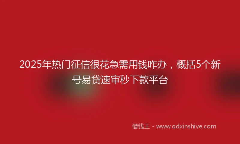 2025年热门征信很花急需用钱咋办，概括5个新号易贷速审秒下款平台