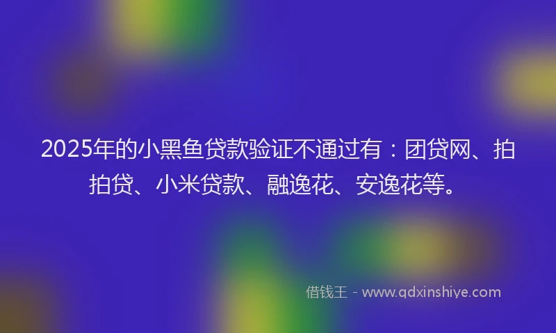2025年的小黑鱼贷款验证不通过有：团贷网、拍拍贷、小米贷款、融逸花、安逸花等。
