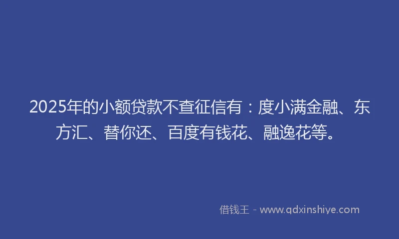 2025年的小额贷款不查征信有：度小满金融、东方汇、替你还、百度有钱花、融逸花等。