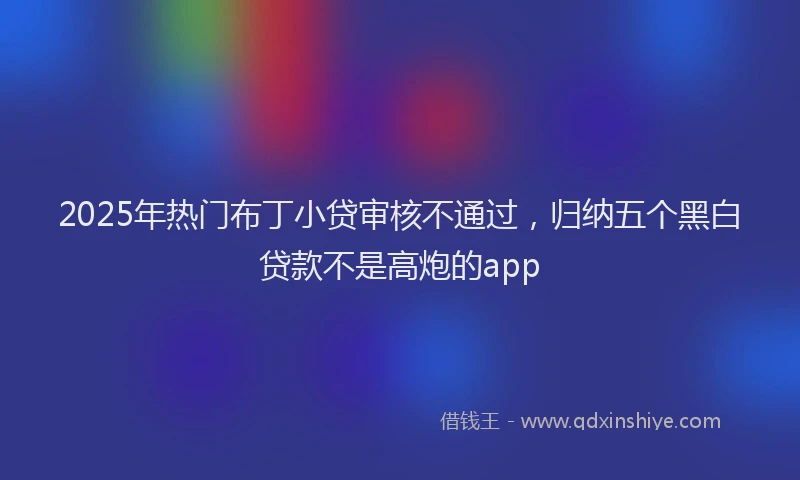 2025年热门布丁小贷审核不通过，归纳五个黑白贷款不是高炮的app