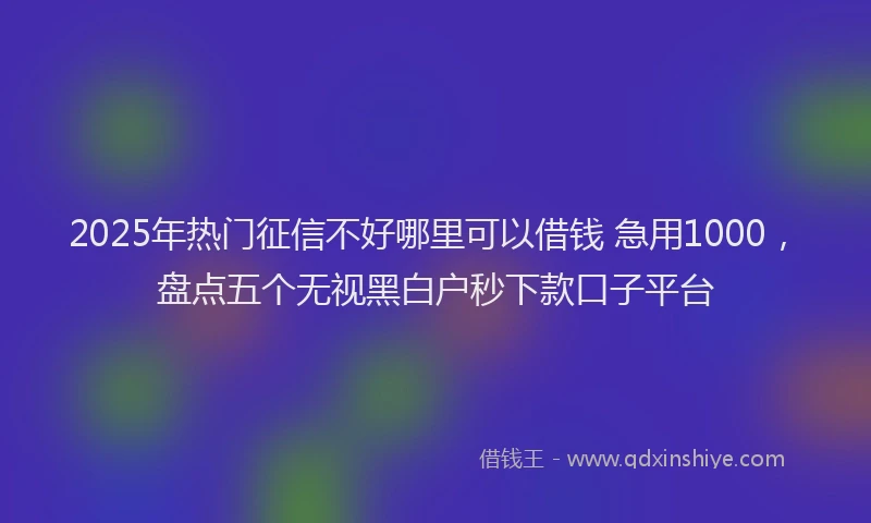2025年热门征信不好哪里可以借钱 急用1000，盘点五个无视黑白户秒下款口子平台