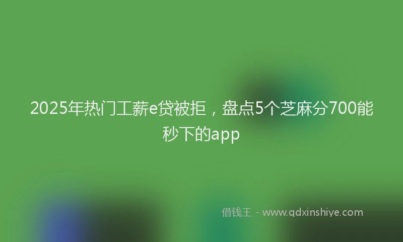 2025年热门工薪e贷被拒，盘点5个芝麻分700能秒下的app