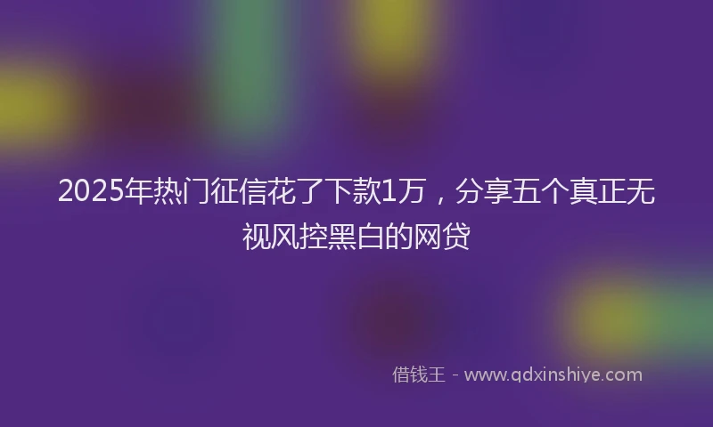 2025年热门征信花了下款1万，分享五个真正无视风控黑白的网贷