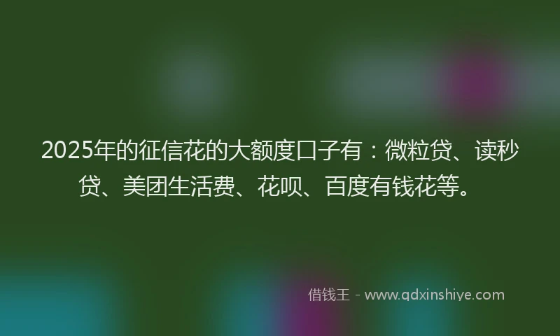 2025年的征信花的大额度口子有：微粒贷、读秒贷、美团生活费、花呗、百度有钱花等。