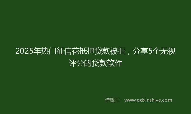 2025年热门征信花抵押贷款被拒，分享5个无视评分的贷款软件