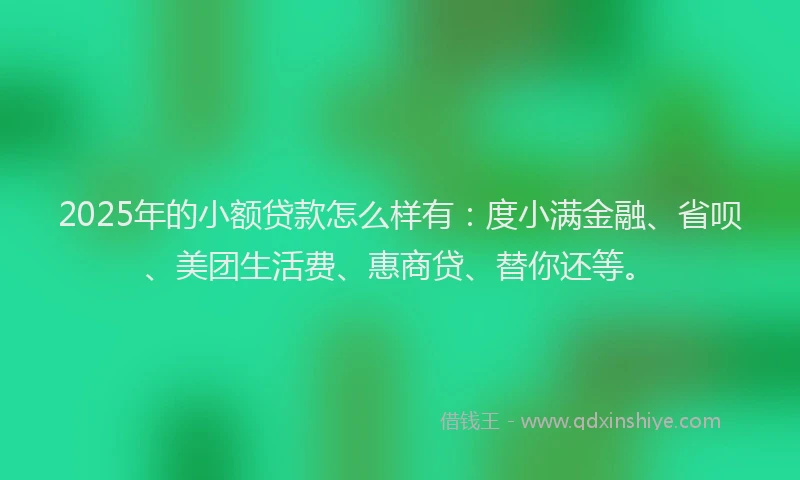 2025年的小额贷款怎么样有：度小满金融、省呗、美团生活费、惠商贷、替你还等。