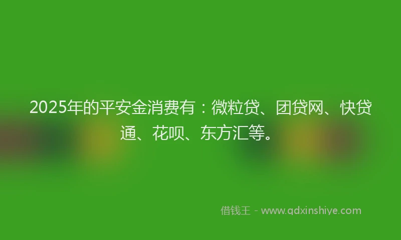 2025年的平安金消费有：微粒贷、团贷网、快贷通、花呗、东方汇等。