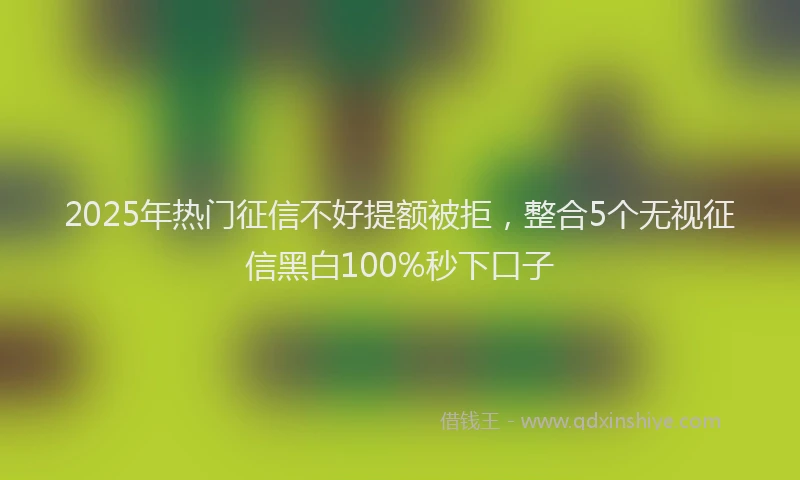2025年热门征信不好提额被拒，整合5个无视征信黑白100%秒下口子