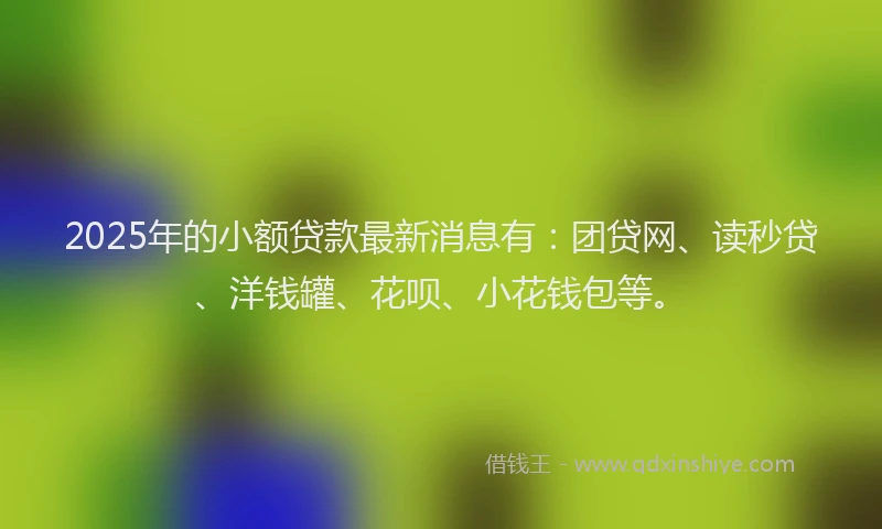 2025年的小额贷款最新消息有：团贷网、读秒贷、洋钱罐、花呗、小花钱包等。