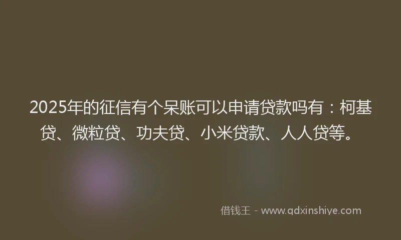 2025年的征信有个呆账可以申请贷款吗有：柯基贷、微粒贷、功夫贷、小米贷款、人人贷等。