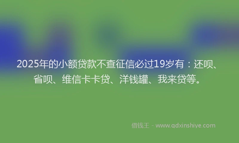 2025年的小额贷款不查征信必过19岁有：还呗、省呗、维信卡卡贷、洋钱罐、我来贷等。