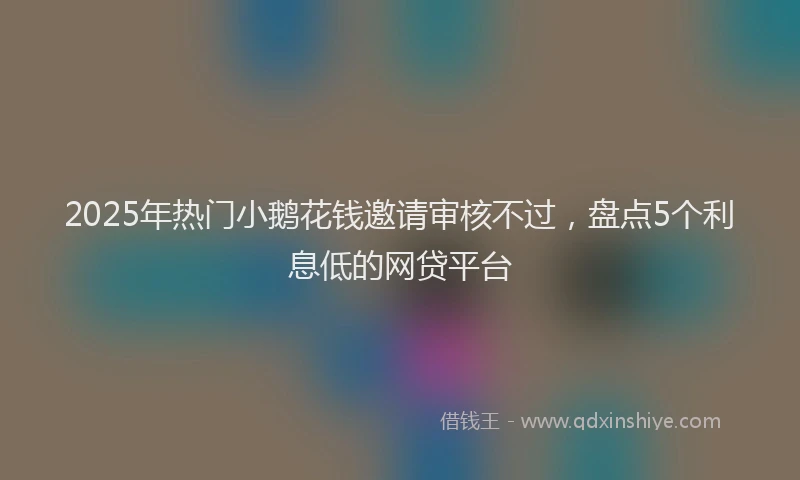 2025年热门小鹅花钱邀请审核不过，盘点5个利息低的网贷平台