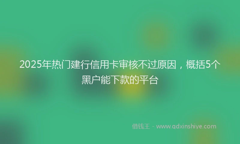2025年热门建行信用卡审核不过原因，概括5个黑户能下款的平台