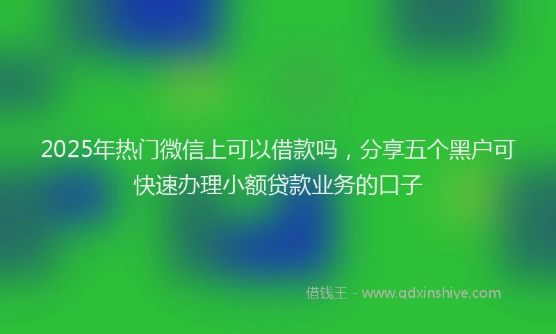 2025年热门微信上可以借款吗，分享五个黑户可快速办理小额贷款业务的口子