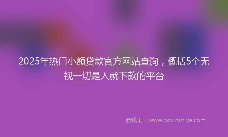 2025年热门小额贷款官方网站查询，概括5个无视一切是人就下款的平台