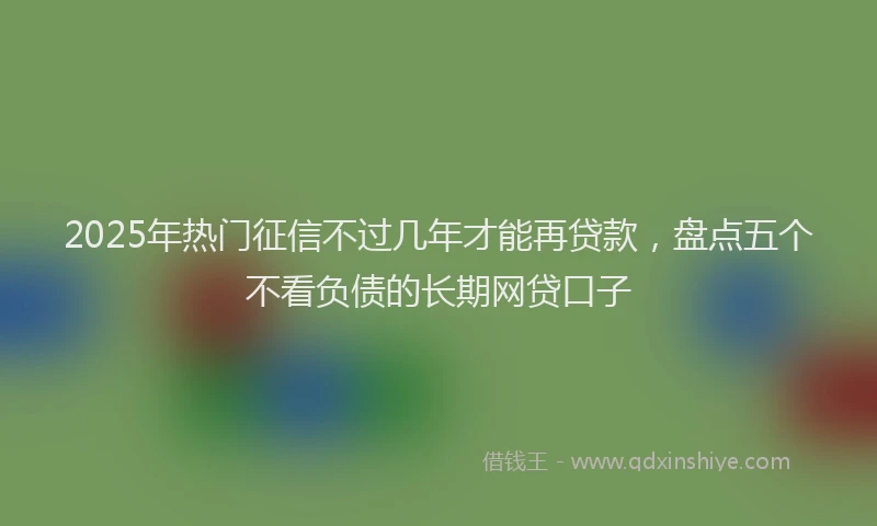 2025年热门征信不过几年才能再贷款，盘点五个不看负债的长期网贷口子