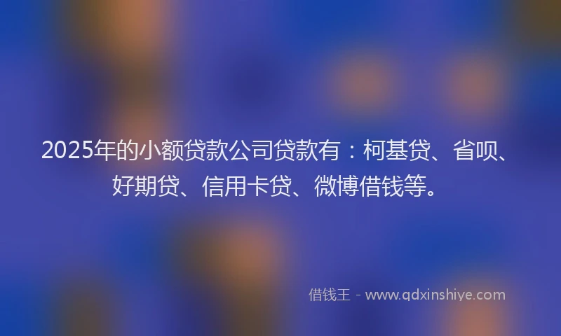 2025年的小额贷款公司贷款有：柯基贷、省呗、好期贷、信用卡贷、微博借钱等。