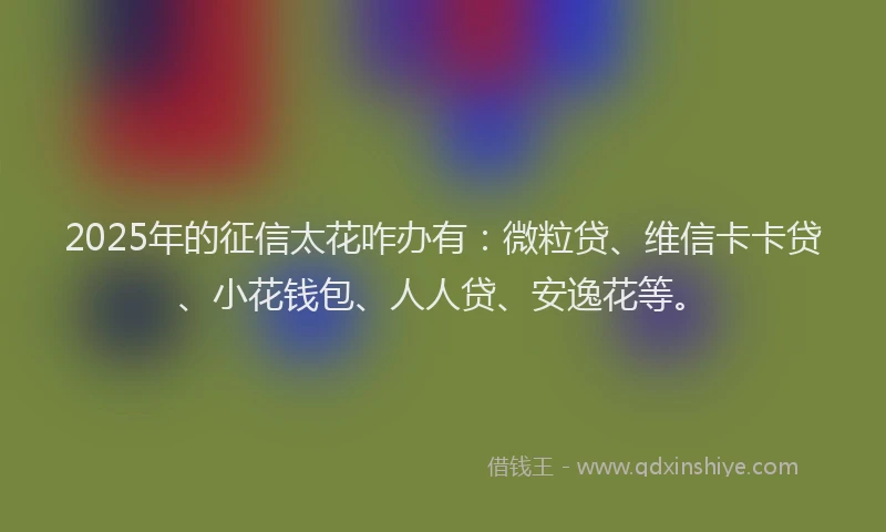 2025年的征信太花咋办有：微粒贷、维信卡卡贷、小花钱包、人人贷、安逸花等。