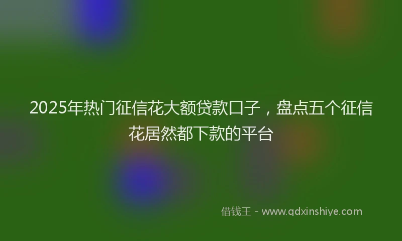 2025年热门征信花大额贷款口子，盘点五个征信花居然都下款的平台