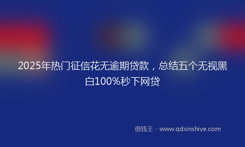 2025年热门征信花无逾期贷款，总结五个无视黑白100%秒下网贷