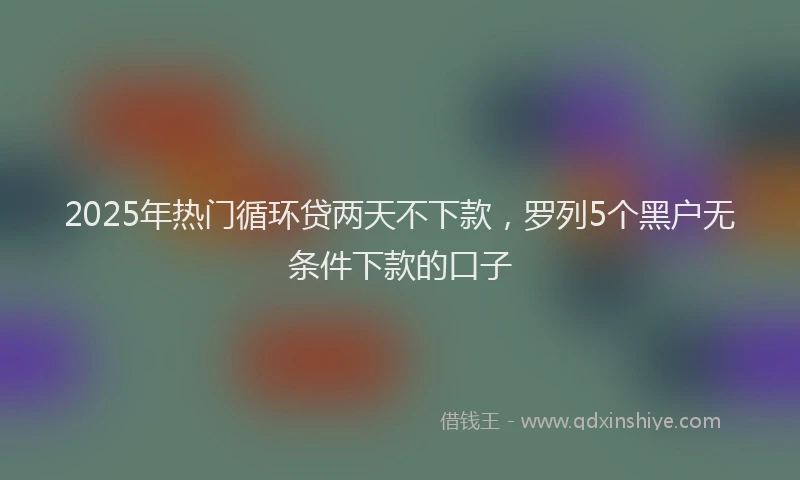 2025年热门循环贷两天不下款，罗列5个黑户无条件下款的口子