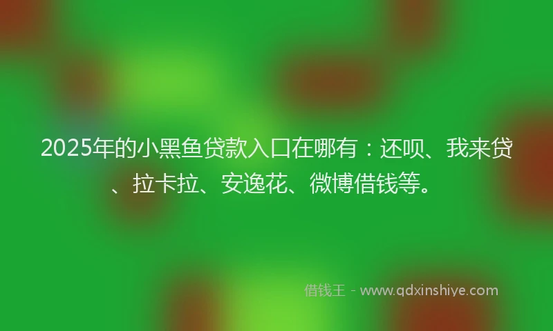 2025年的小黑鱼贷款入口在哪有：还呗、我来贷、拉卡拉、安逸花、微博借钱等。