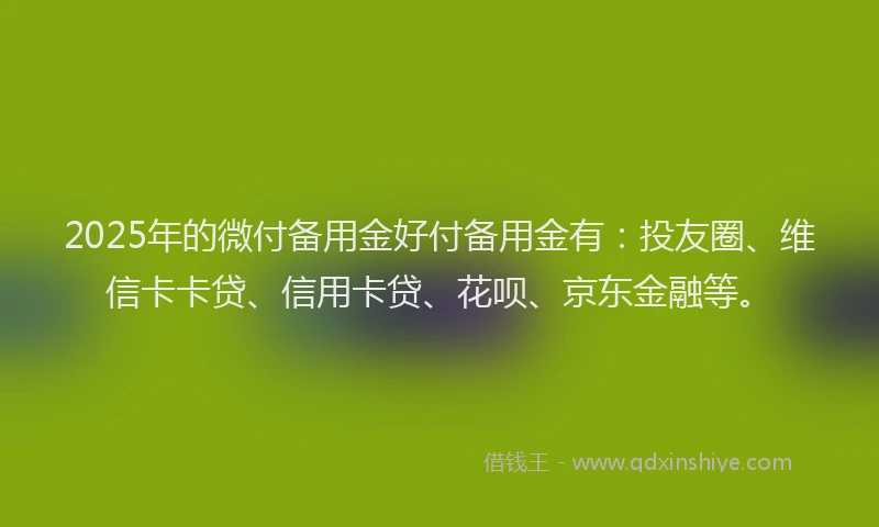 2025年的微付备用金好付备用金有：投友圈、维信卡卡贷、信用卡贷、花呗、京东金融等。