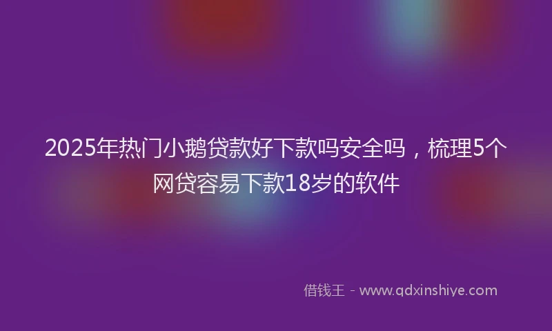 2025年热门小鹅贷款好下款吗安全吗，梳理5个网贷容易下款18岁的软件