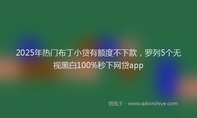2025年热门布丁小贷有额度不下款，罗列5个无视黑白100%秒下网贷app