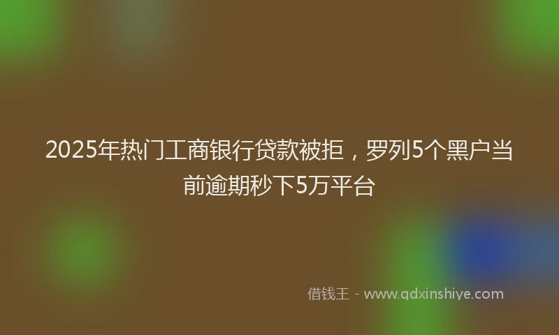 2025年热门工商银行贷款被拒，罗列5个黑户当前逾期秒下5万平台