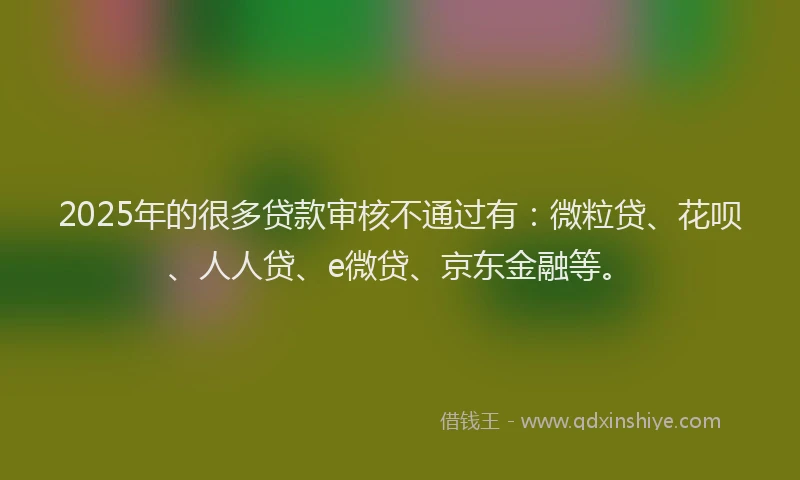 2025年的很多贷款审核不通过有：微粒贷、花呗、人人贷、e微贷、京东金融等。