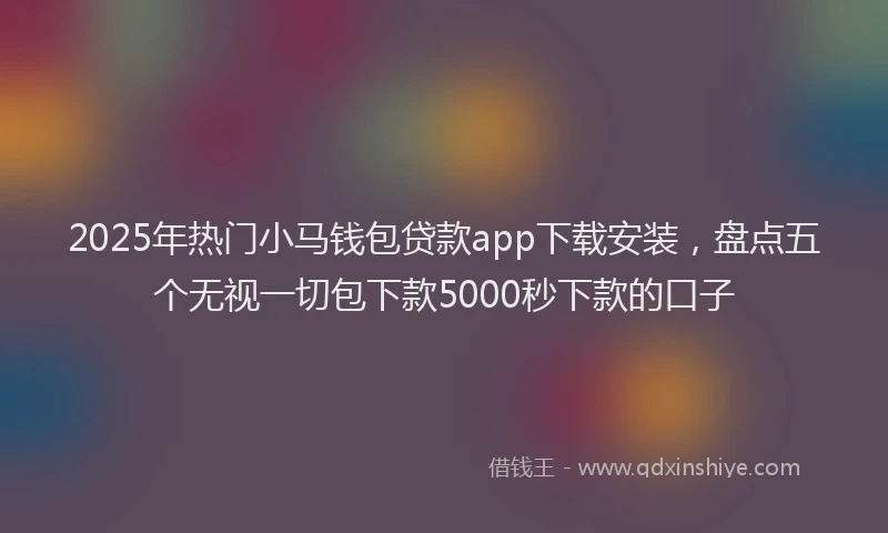 2025年热门小马钱包贷款app下载安装，盘点五个无视一切包下款5000秒下款的口子