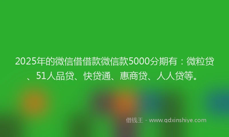 2025年的微信借借款微信款5000分期有：微粒贷、51人品贷、快贷通、惠商贷、人人贷等。