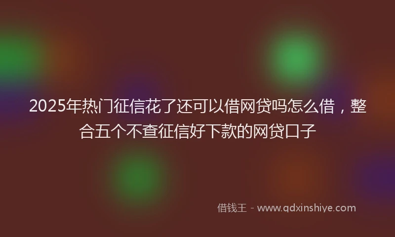 2025年热门征信花了还可以借网贷吗怎么借，整合五个不查征信好下款的网贷口子