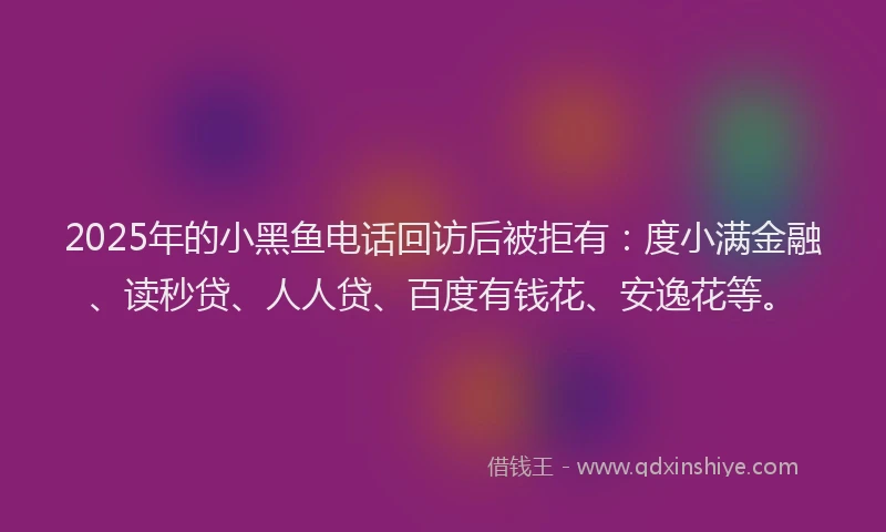 2025年的小黑鱼电话回访后被拒有：度小满金融、读秒贷、人人贷、百度有钱花、安逸花等。