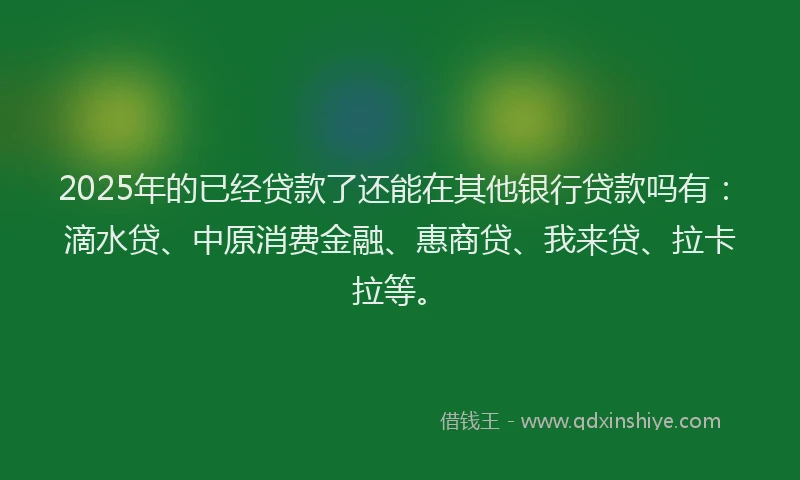 2025年的已经贷款了还能在其他银行贷款吗有：滴水贷、中原消费金融、惠商贷、我来贷、拉卡拉等。