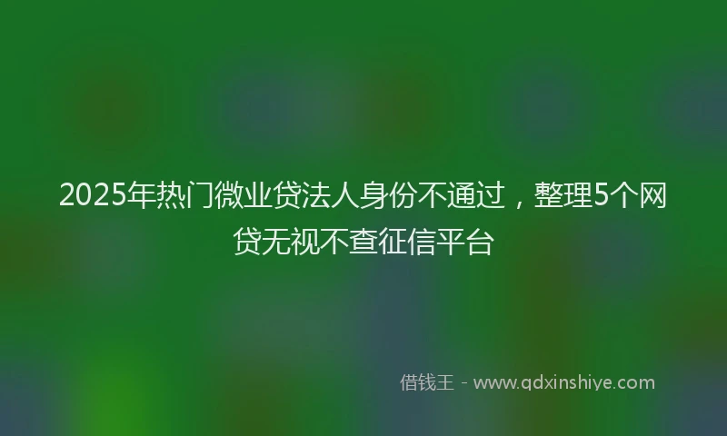2025年热门微业贷法人身份不通过，整理5个网贷无视不查征信平台