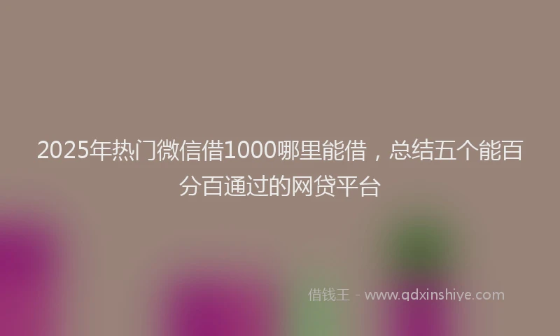 2025年热门微信借1000哪里能借，总结五个能百分百通过的网贷平台