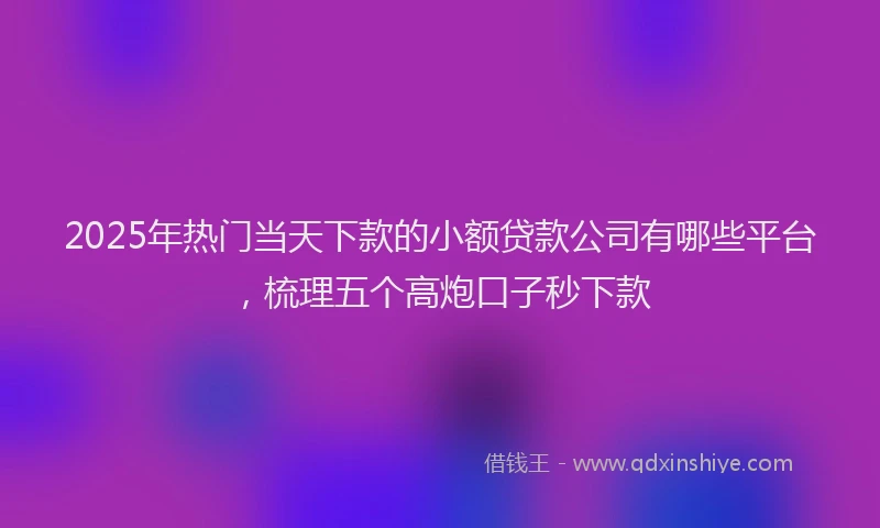 2025年热门当天下款的小额贷款公司有哪些平台，梳理五个高炮口子秒下款