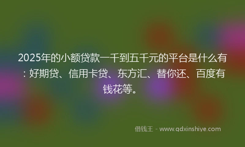 2025年的小额贷款一千到五千元的平台是什么有：好期贷、信用卡贷、东方汇、替你还、百度有钱花等。