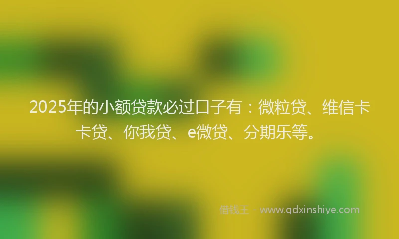 2025年的小额贷款必过口子有：微粒贷、维信卡卡贷、你我贷、e微贷、分期乐等。