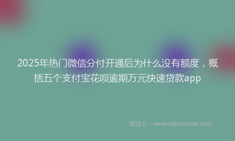 2025年热门微信分付开通后为什么没有额度，概括五个支付宝花呗逾期万元快速贷款app