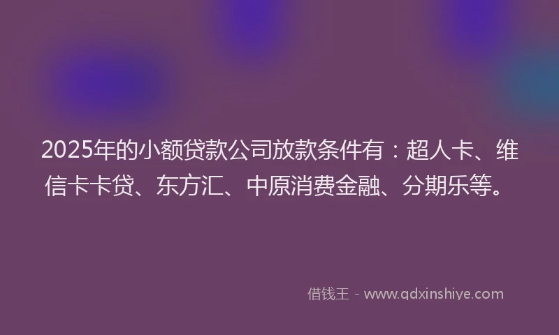 2025年的小额贷款公司放款条件有：超人卡、维信卡卡贷、东方汇、中原消费金融、分期乐等。