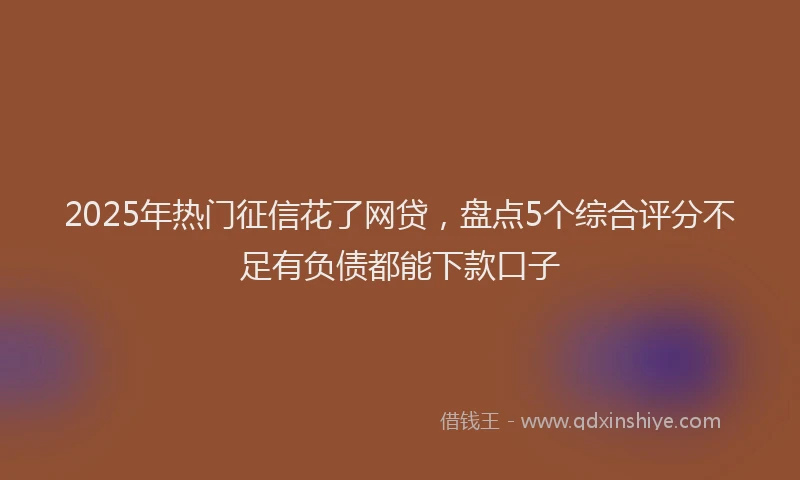 2025年热门征信花了网贷，盘点5个综合评分不足有负债都能下款口子