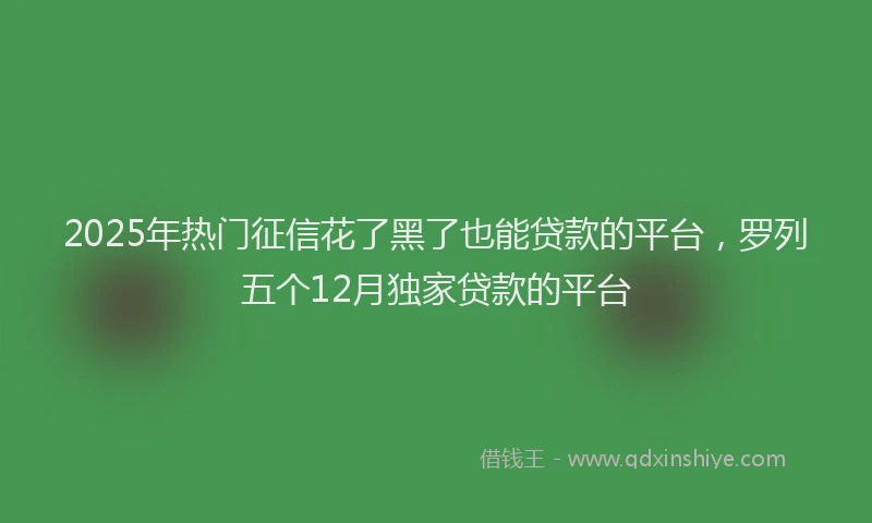 2025年热门征信花了黑了也能贷款的平台，罗列五个12月独家贷款的平台
