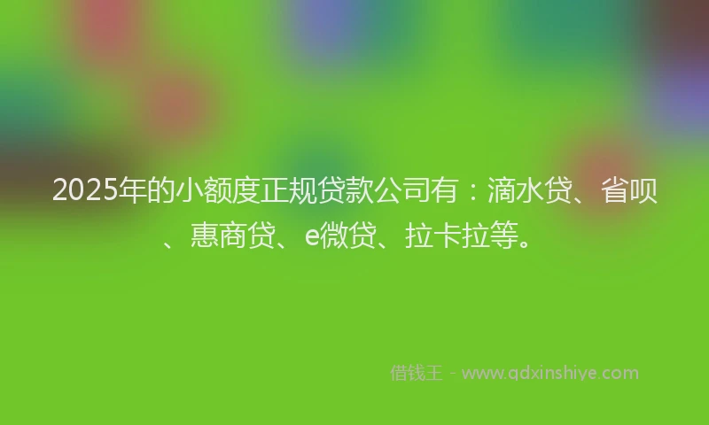 2025年的小额度正规贷款公司有：滴水贷、省呗、惠商贷、e微贷、拉卡拉等。